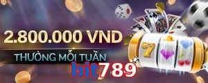 bit789