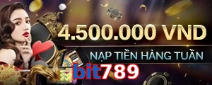 bit789